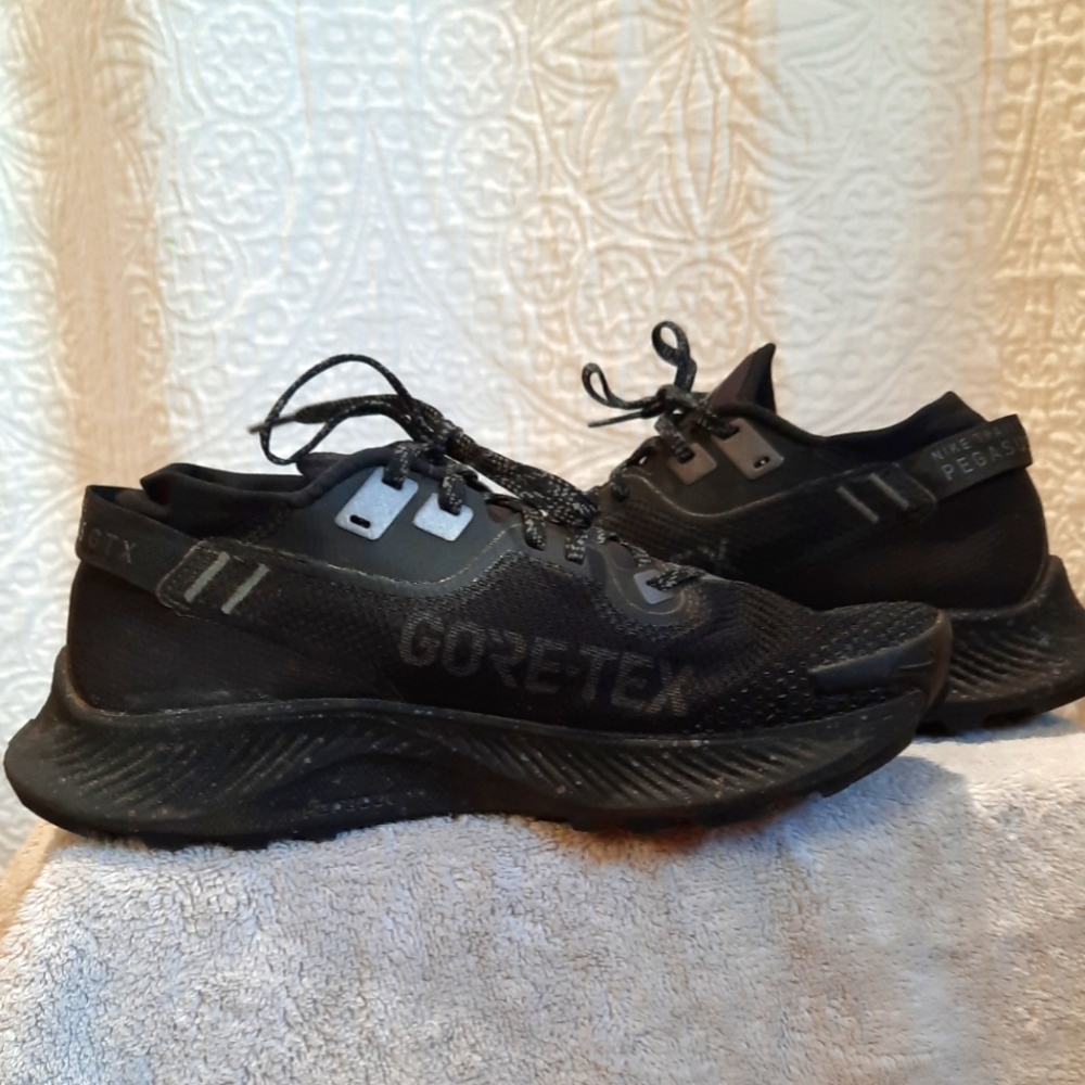 Nike Trail Pegasus Gore-Tex size 8.5
